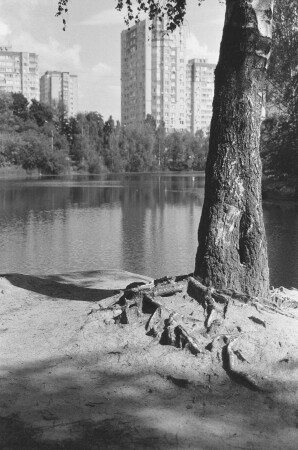 Чб лето