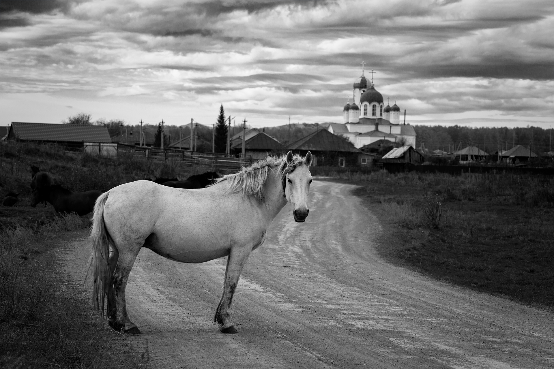 Родные просторы