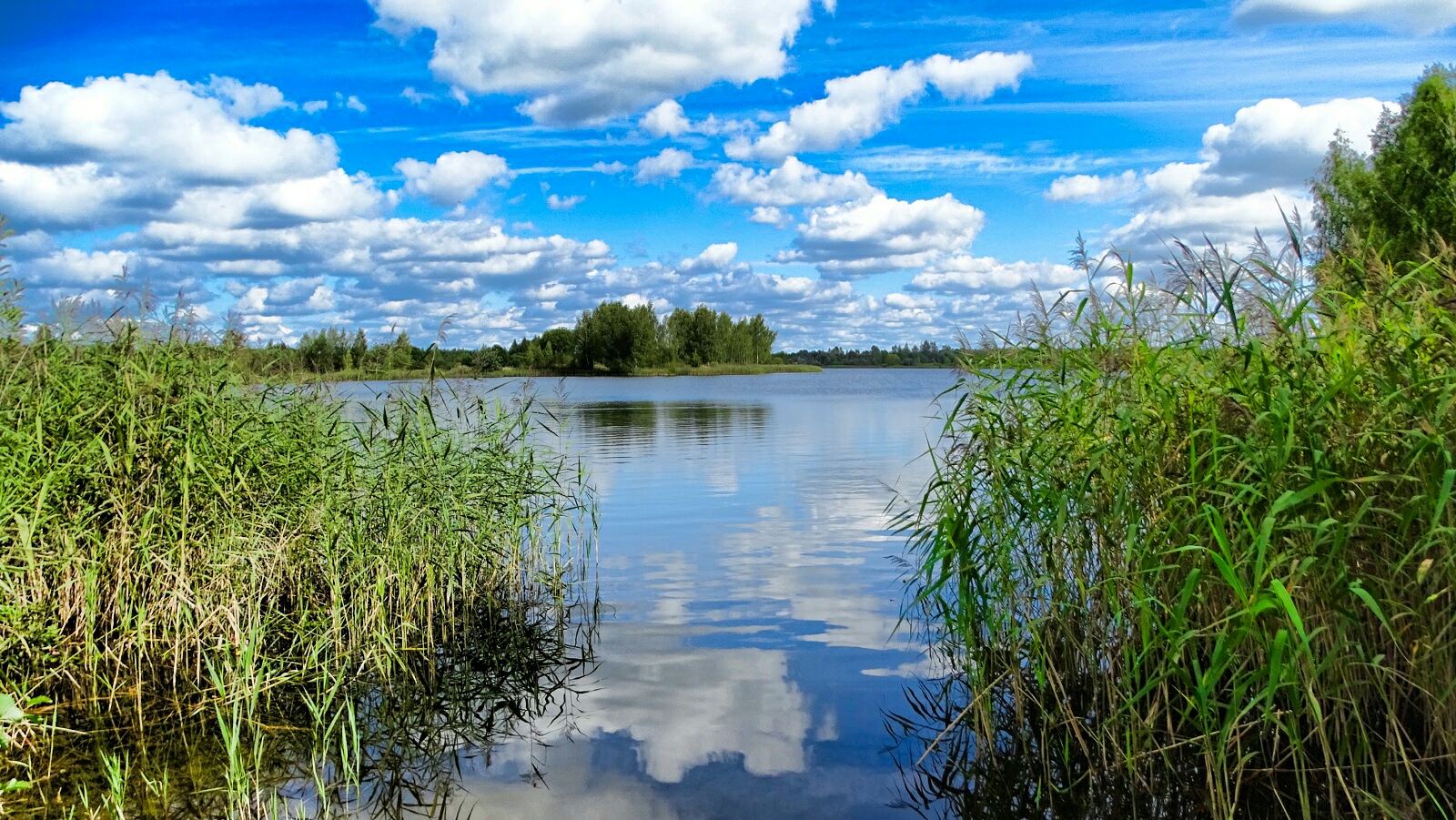 Природа Смоленщины 