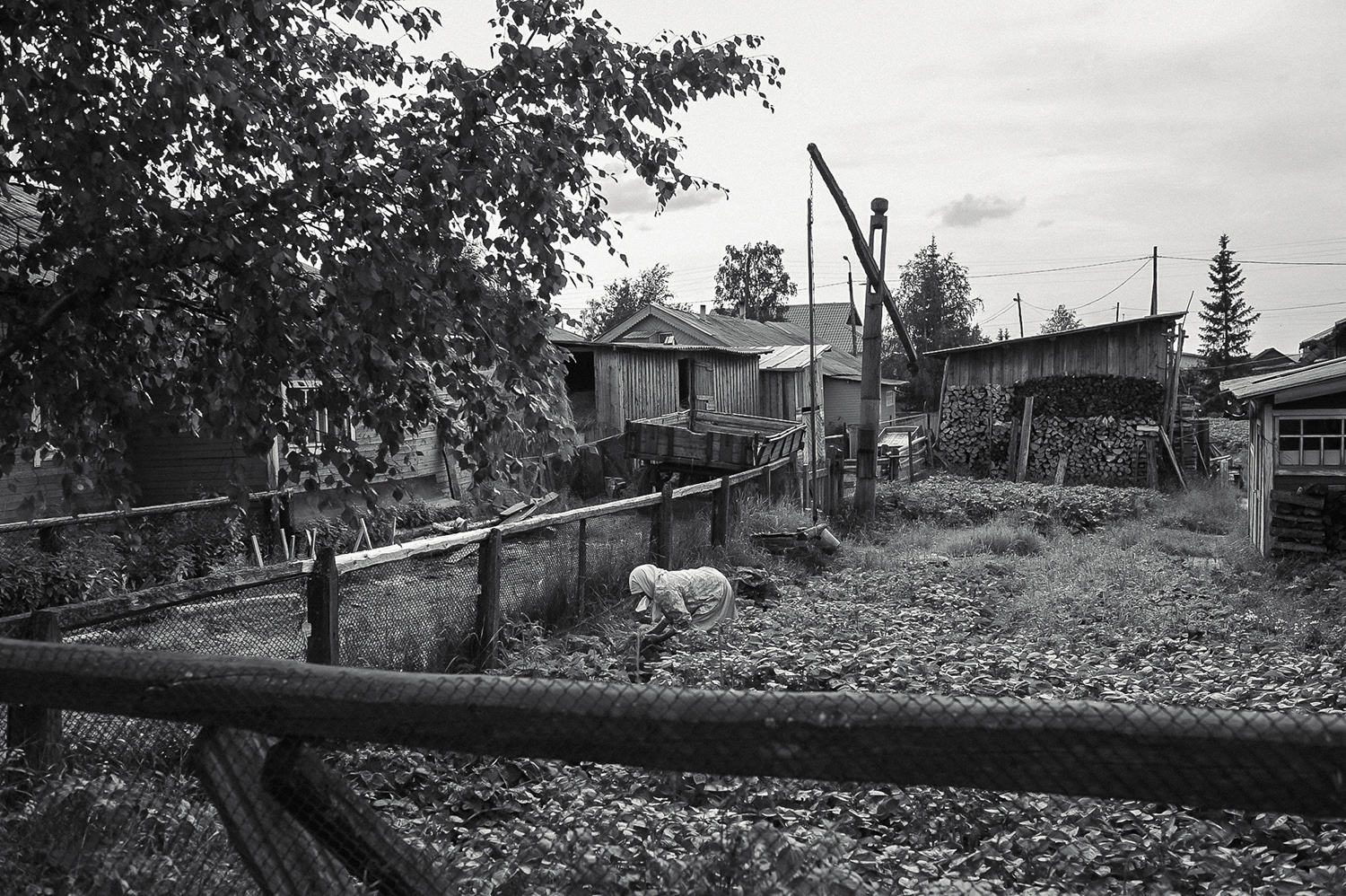 огород.