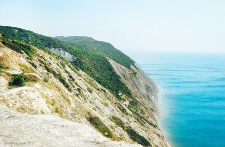 Лысая гора