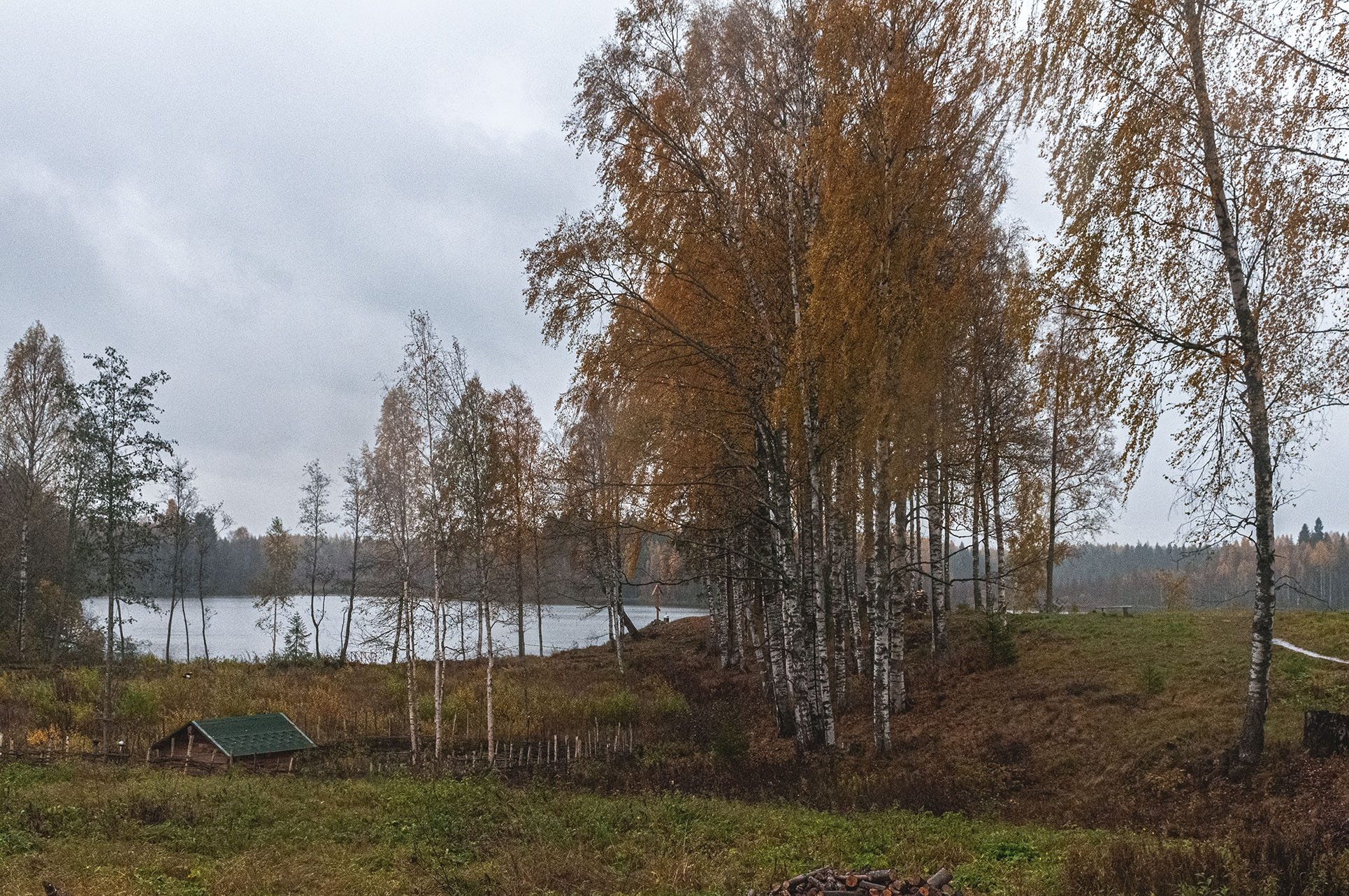 Осенняя пора, очей очарованье.