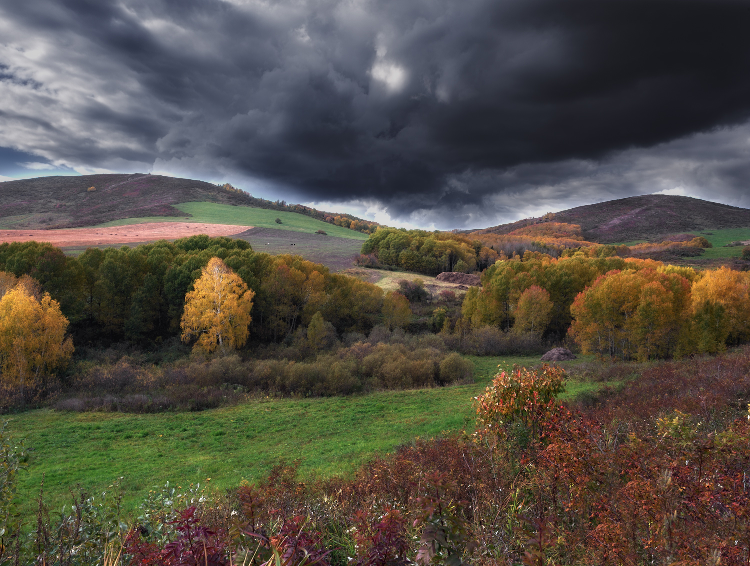 Осенняя