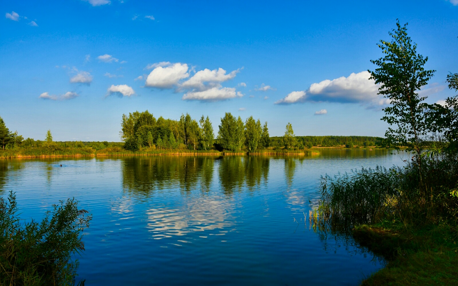 Природа Смоленщины 