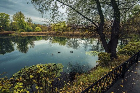 В парке уже осень...