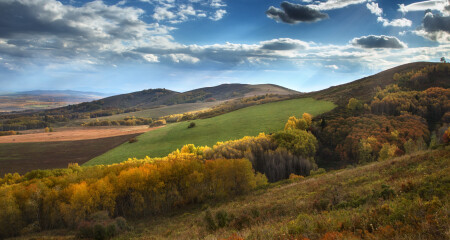 Осень