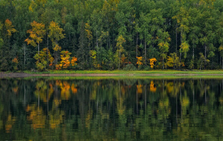 Молодая осень.