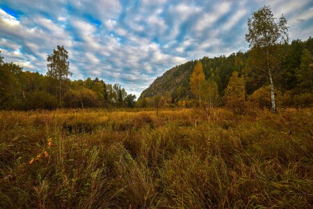 И снова осень.