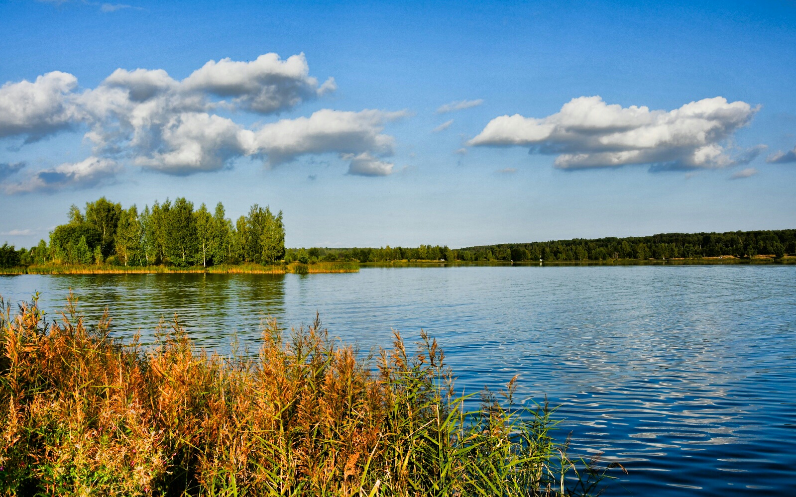 Природа Смоленщины 