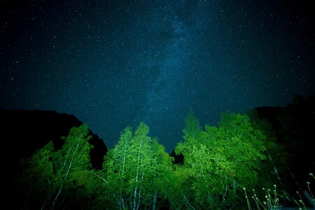 Млечный путь над озером Кардывач