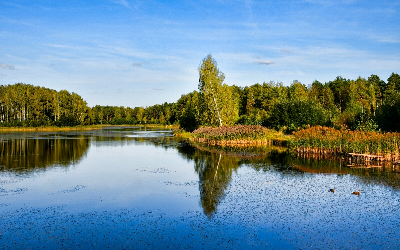 Природа Смоленщины 