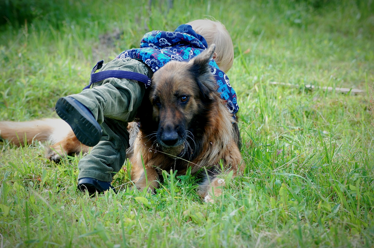 Друг в беде не бросит