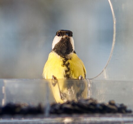 Ну что, посидим?