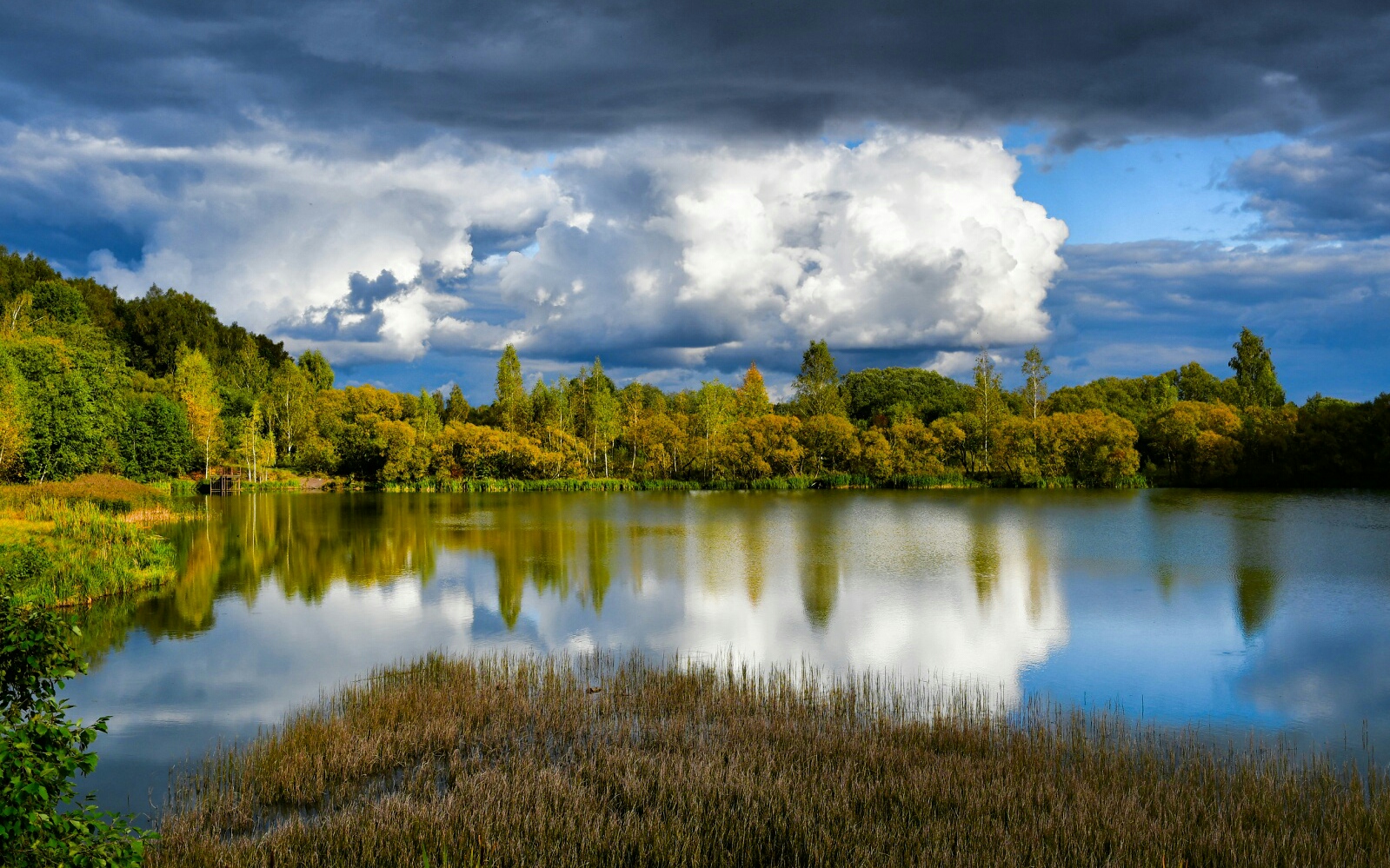 Природа Смоленщины 