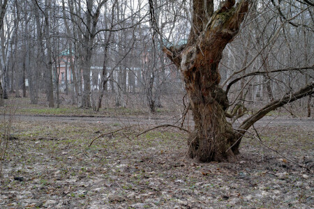 Кузьминский парк