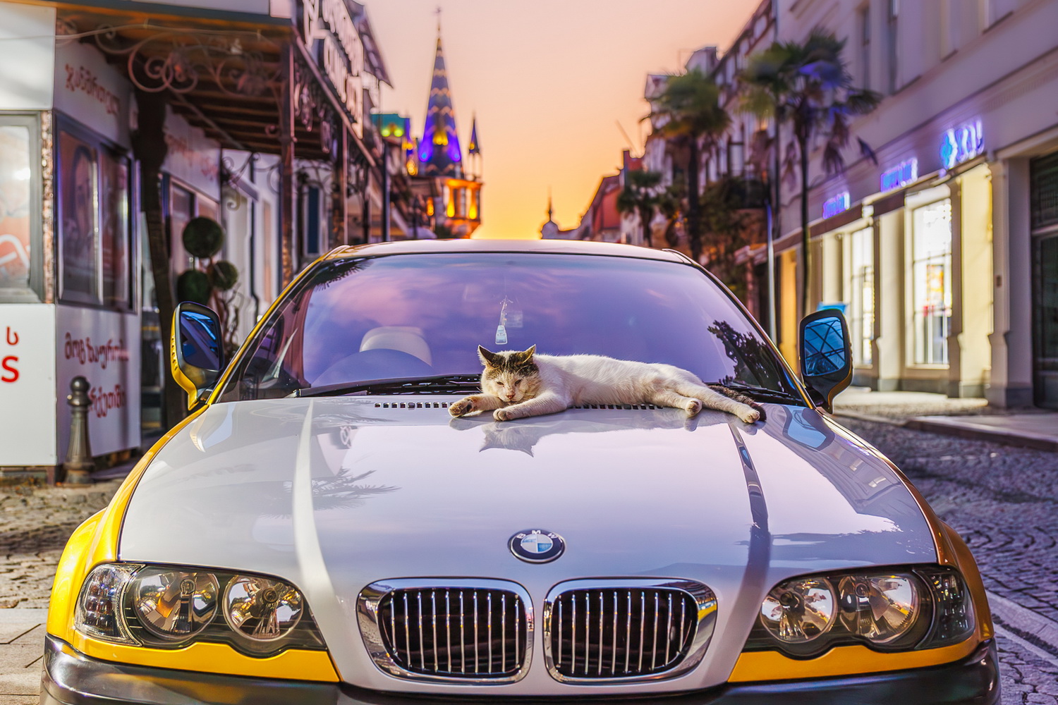 Хозяин BMW