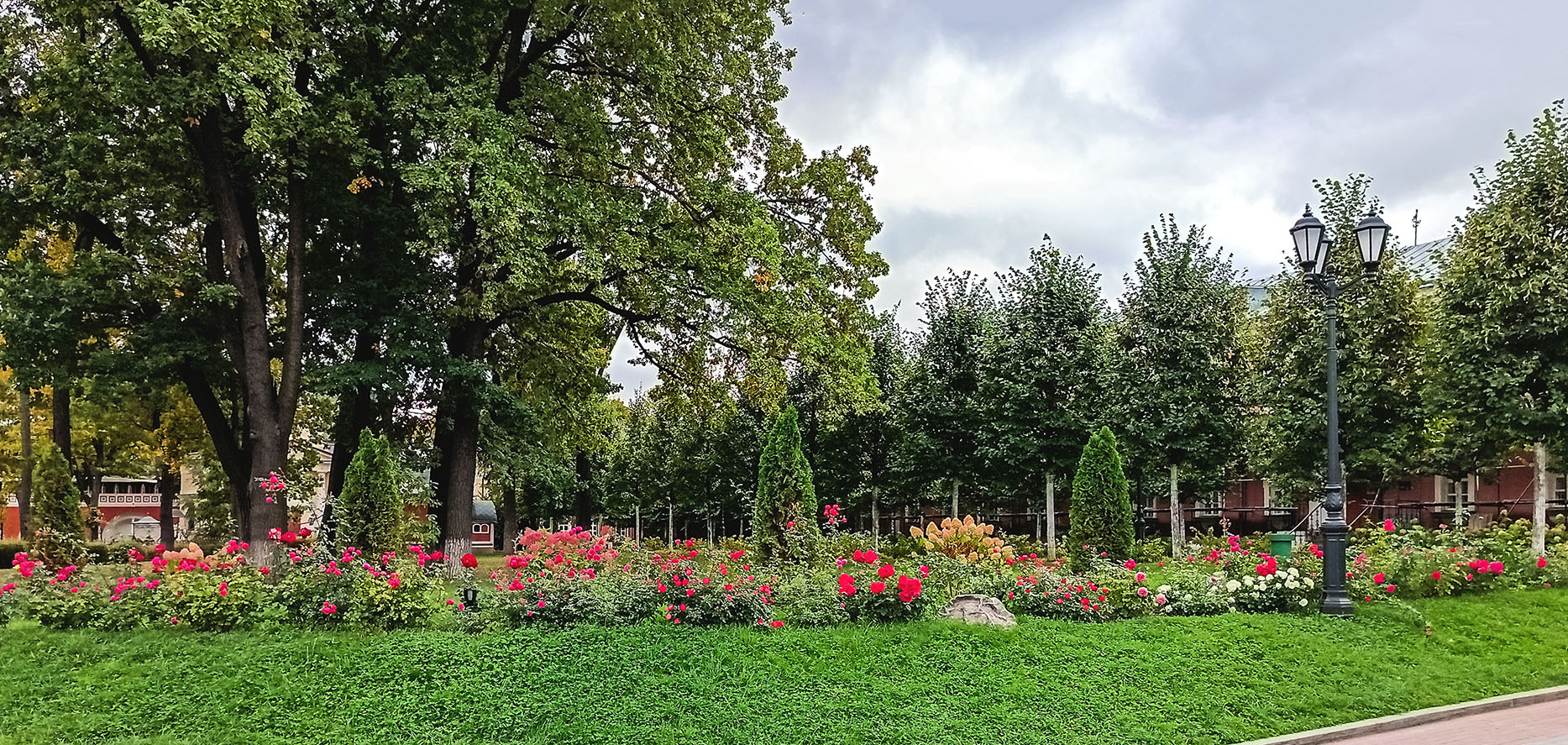 Осень и розы
