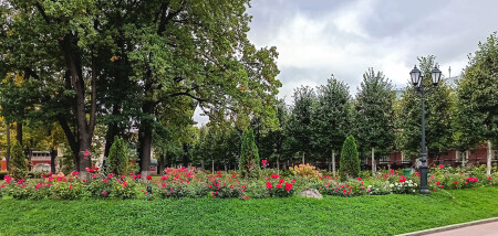 Осень и розы