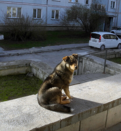 Ждущий...