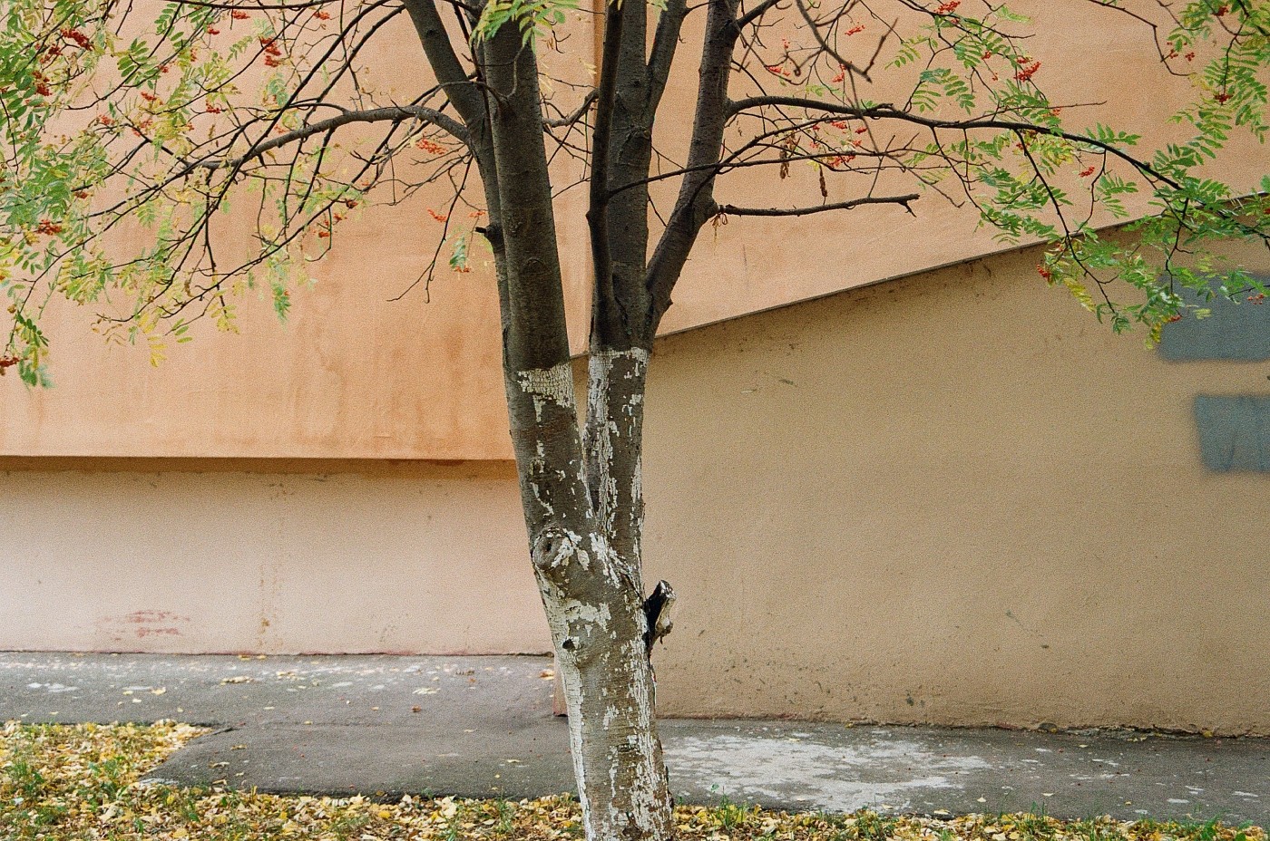 Городское