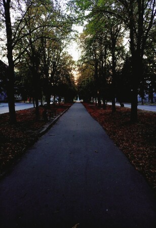 Осень подкралась незаметно