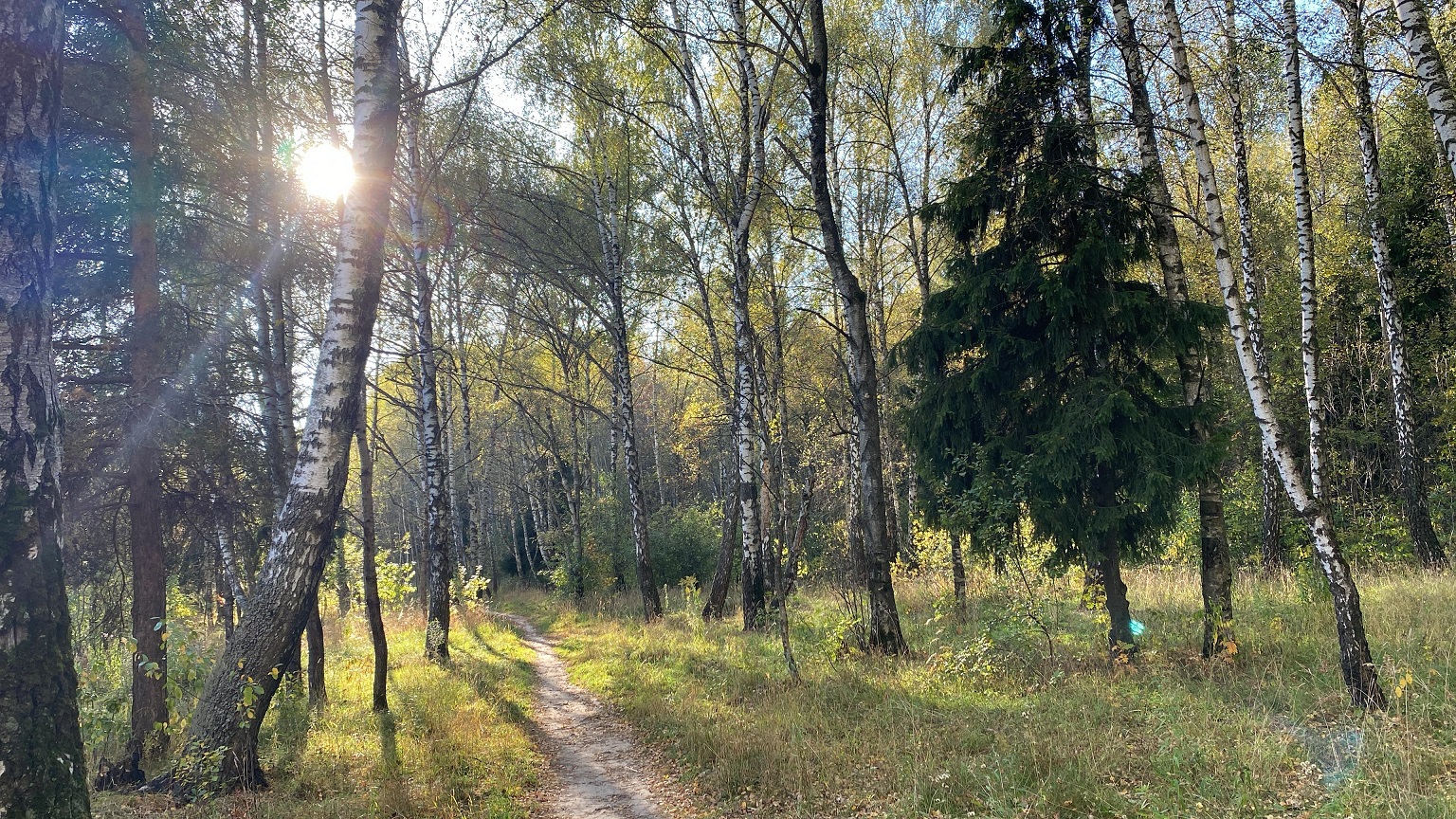 Тёплая осень