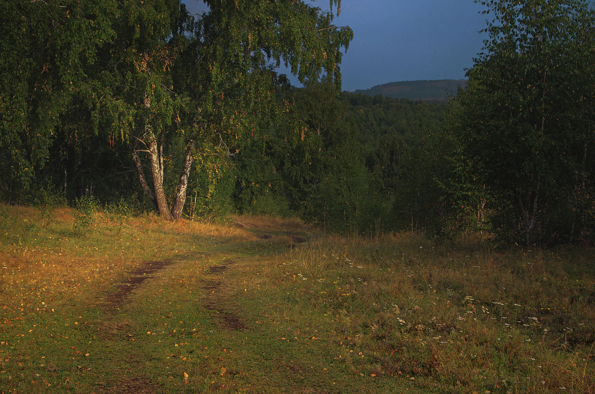 В лесах Башкирии
