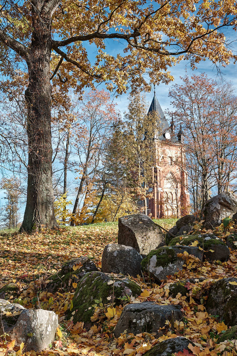 Краски осени