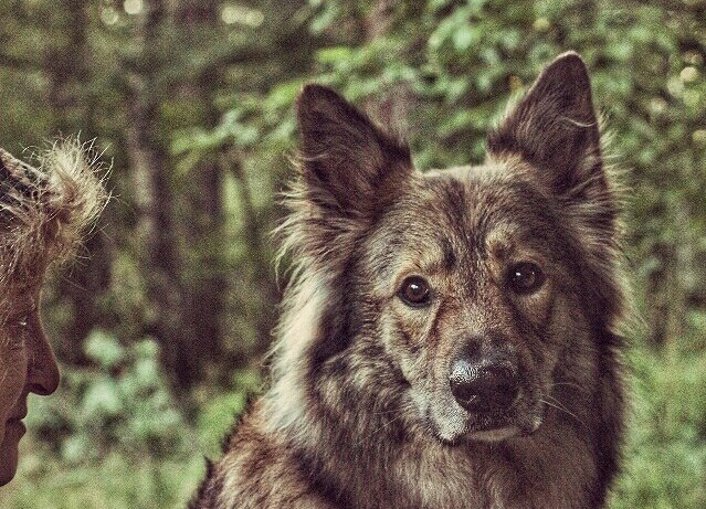 Взгляды с любовью