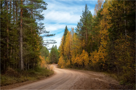 Осенний лес