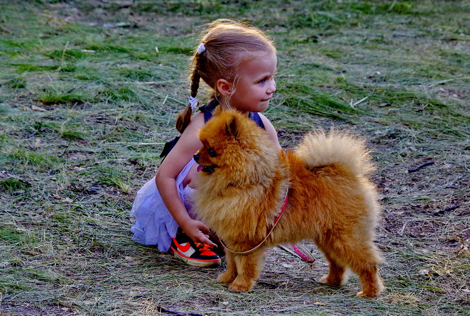 Мой дружок.