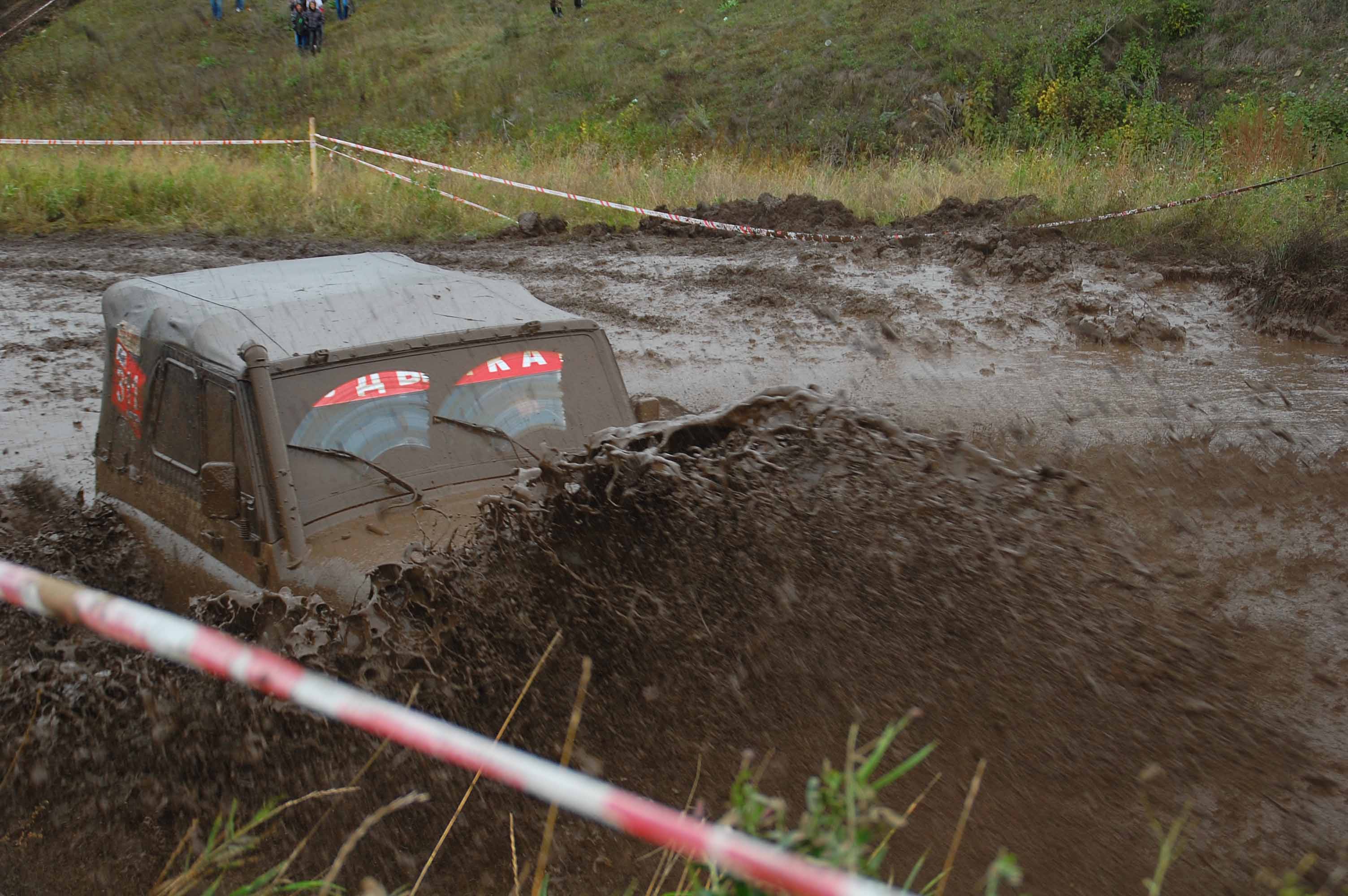 Главное в лице это БРОВКИ... ))