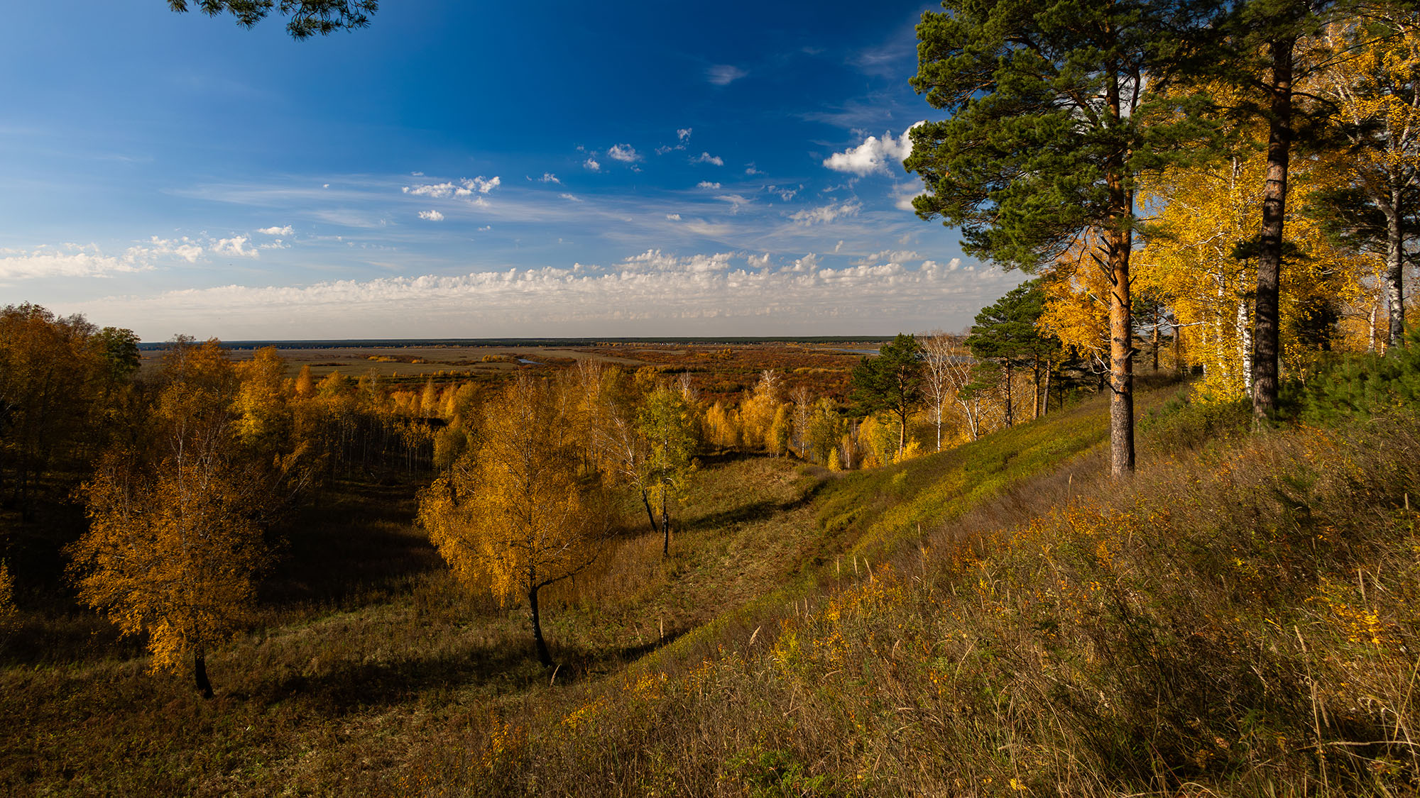 Осень