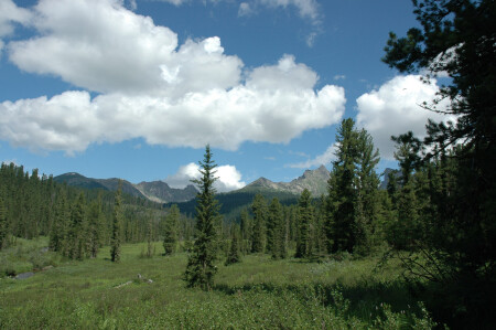 Ергаки