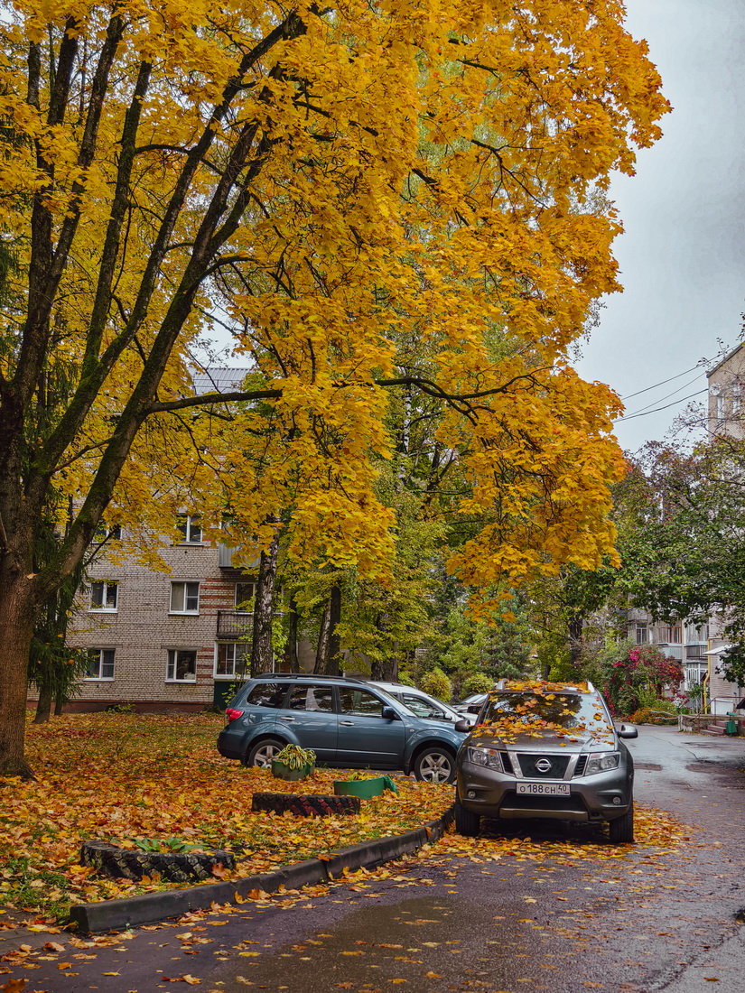 осенний камуфляж