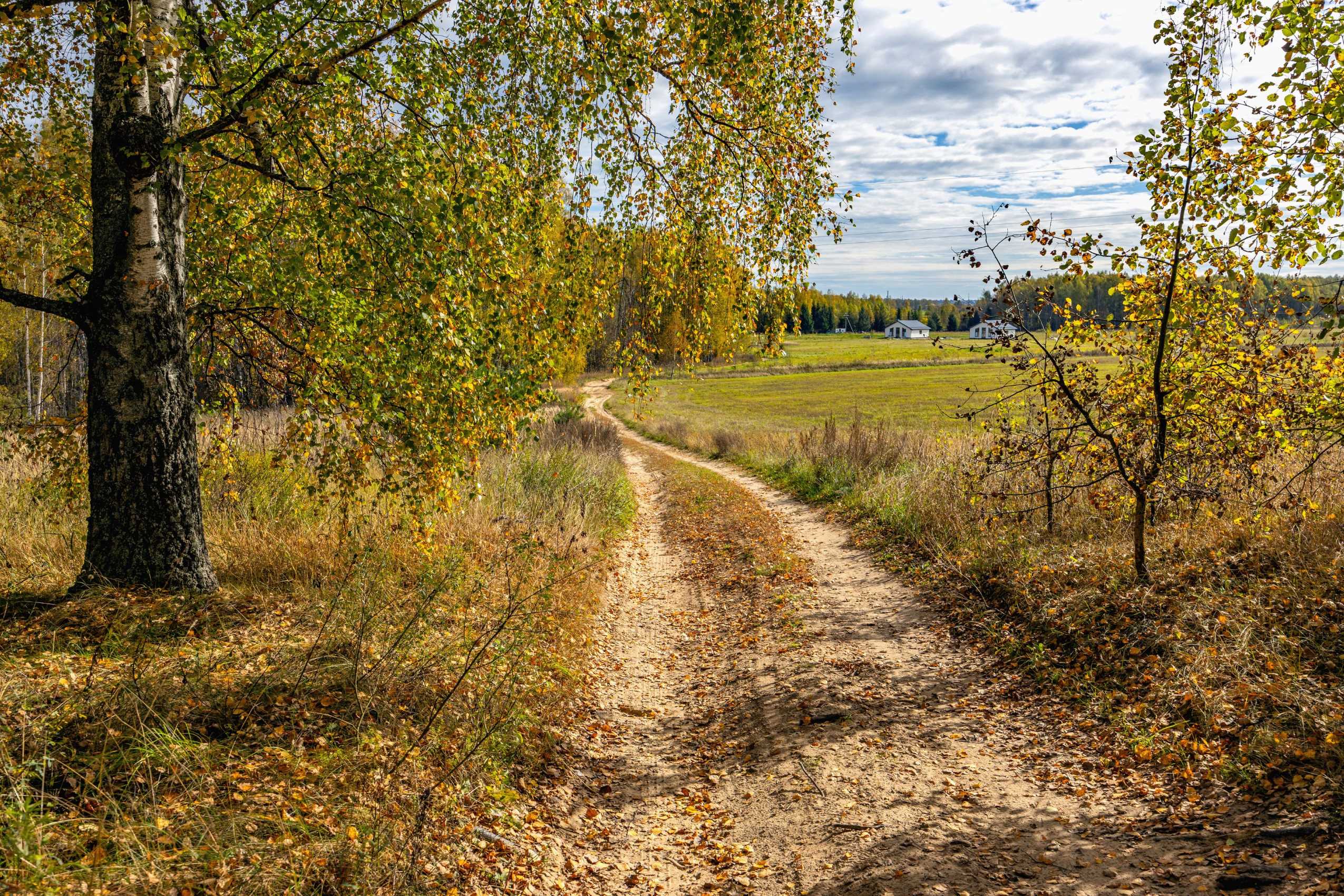 осень