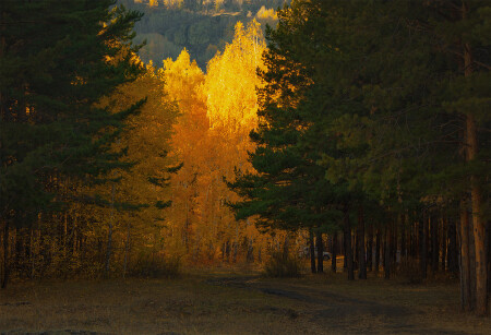 Осень
