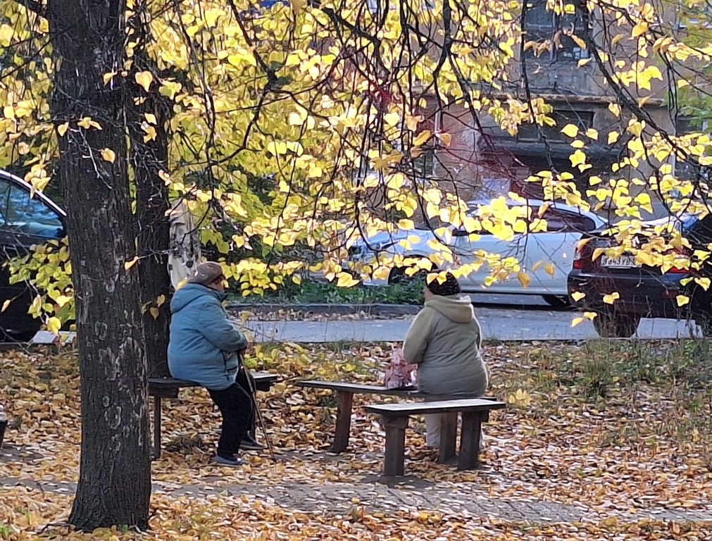  Осень