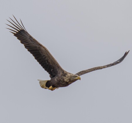 Пора на юга