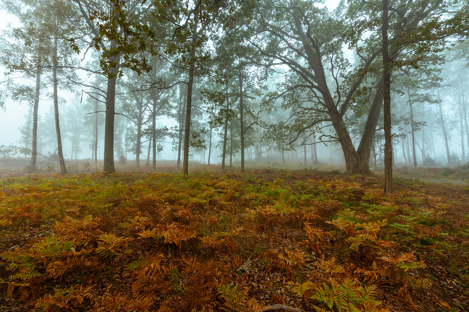 Silent Hill