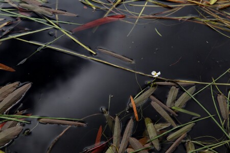 Картина маслом