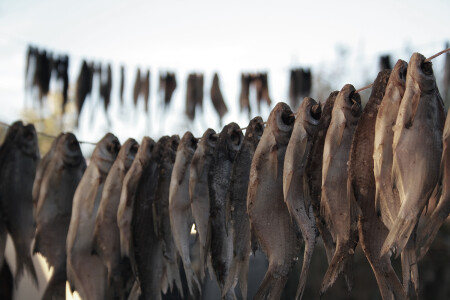 Бешеный клёв 