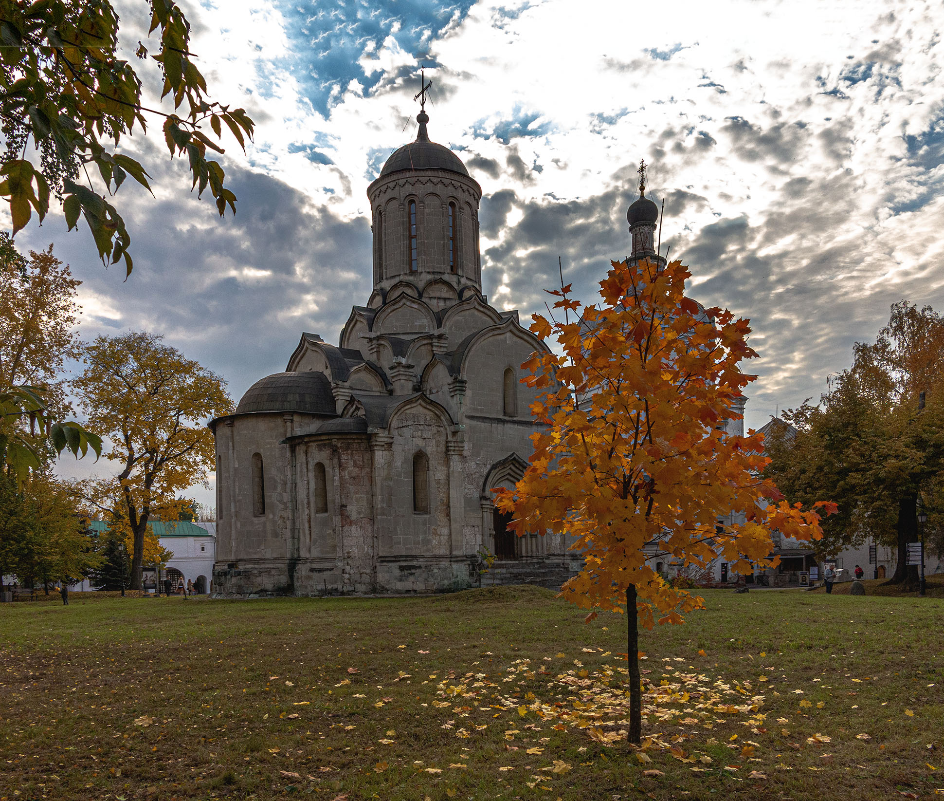 Осенняя красавица.