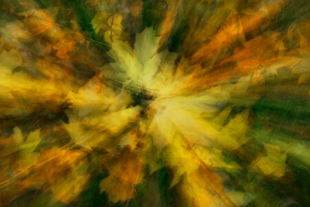 Осенняя психоделика