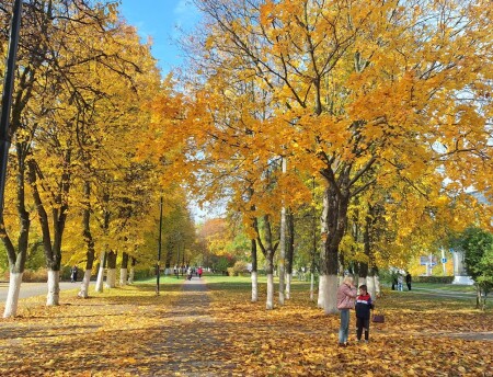  Золотая осень