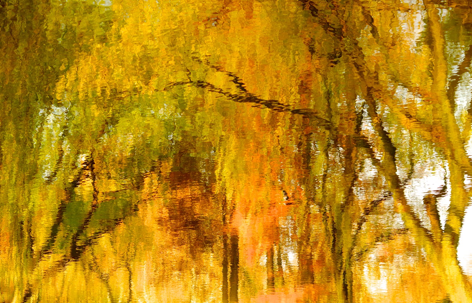 Акварель