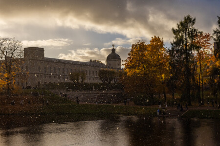 Осенний дождь