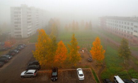 Осень под моим окном
