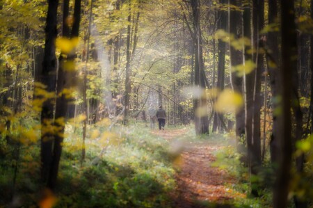 Прогулка осенним утром