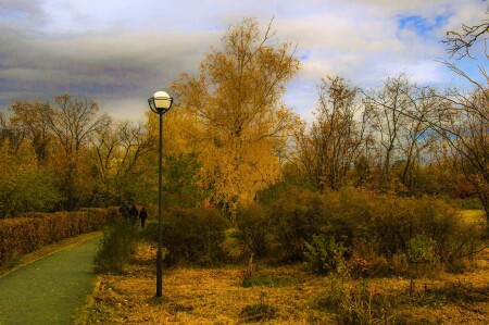 В осеннем парке